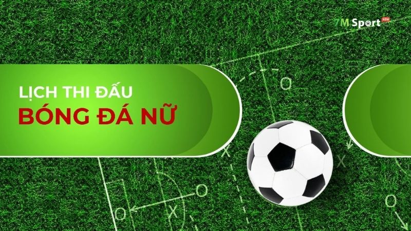 Giấy phép hoạt động của 7M - Yếu tố bảo vệ quyền lợi người dùng Giấy phép hoạt động của 7M - Yếu tố bảo vệ quyền lợi người dùng