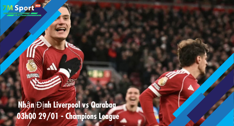 Đội hình dự kiến trước trận Liverpool vs Qarabag Đội hình dự kiến trước trận Liverpool vs Qarabag
